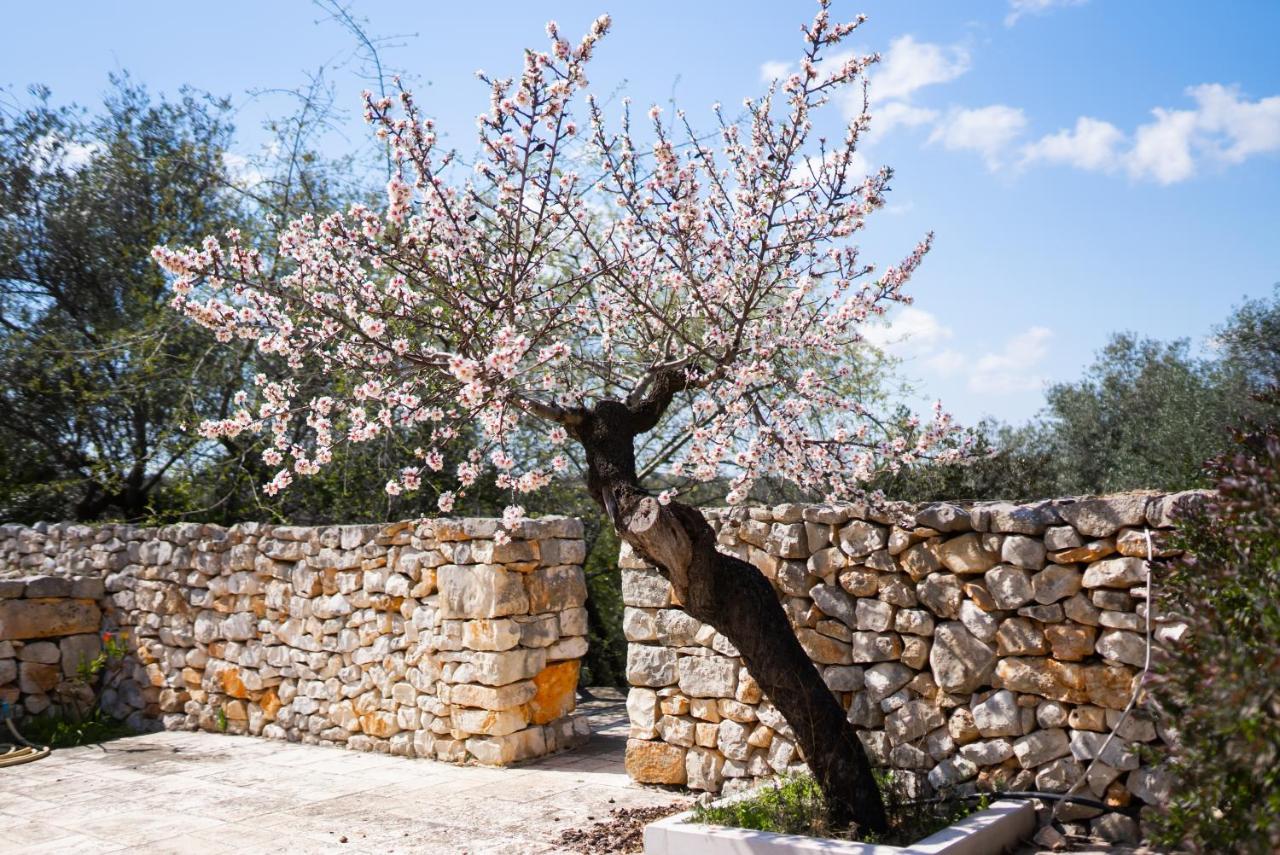 Masseria Montepaolo Dimora Di Charme Conversano Luaran gambar