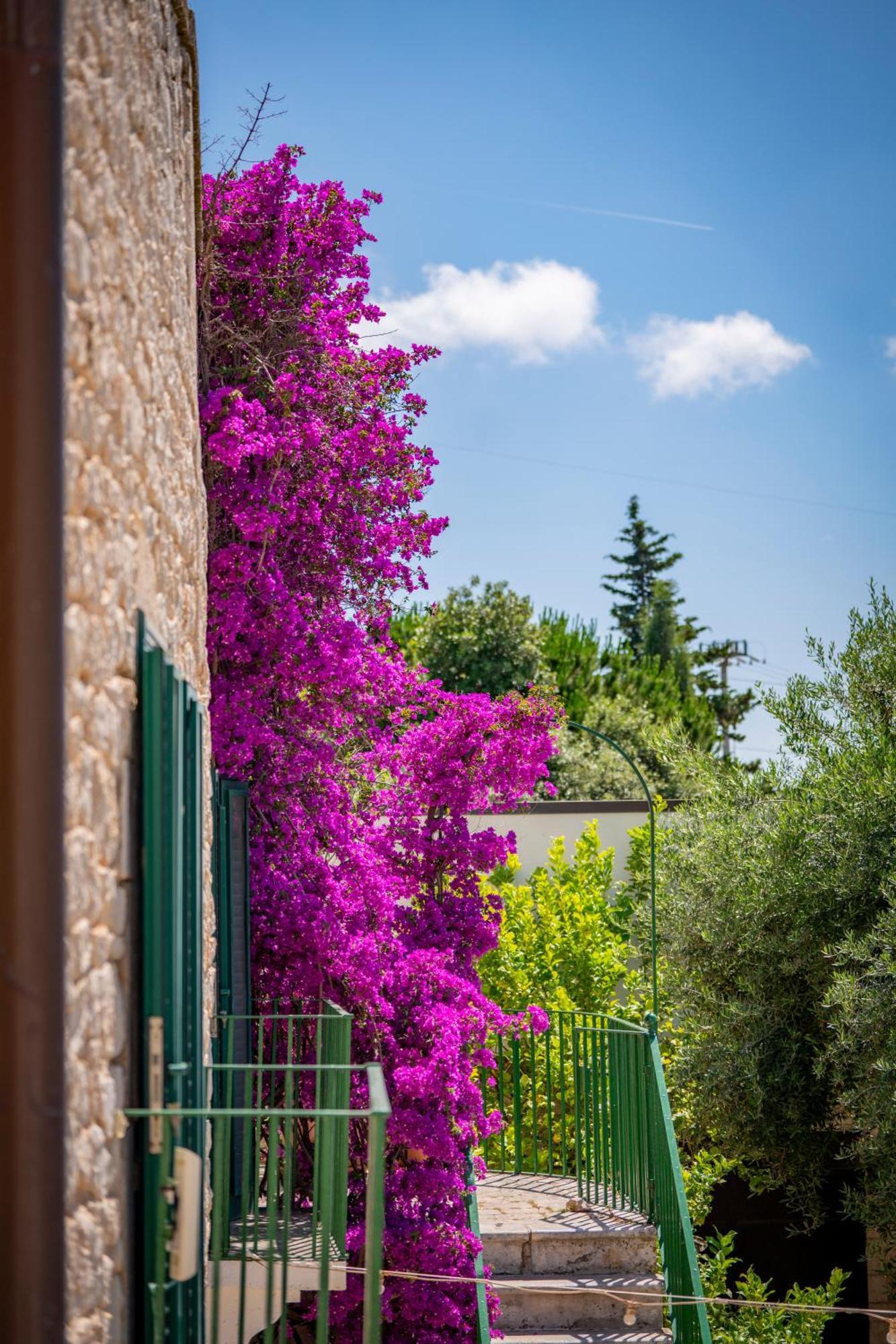 Masseria Montepaolo Dimora Di Charme Conversano Luaran gambar